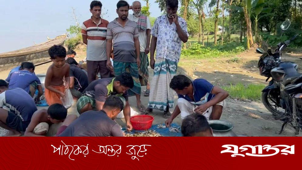 পদ্মার কালিদাসখালী ঘাটে নিত্য বসে মাছের হাট