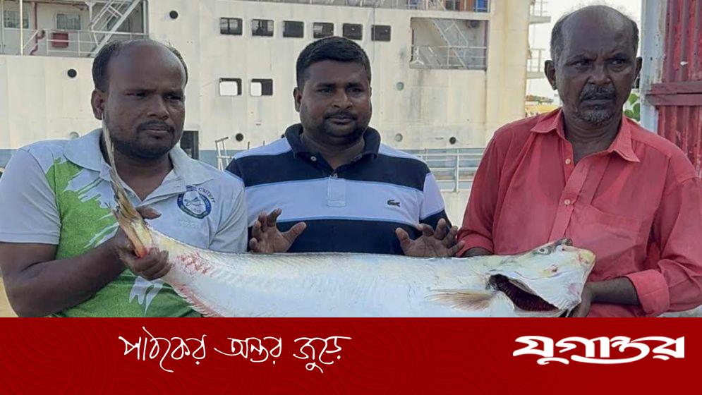 এক ঢাই মাছের দাম ৫৯,৪৫০ টাকা!