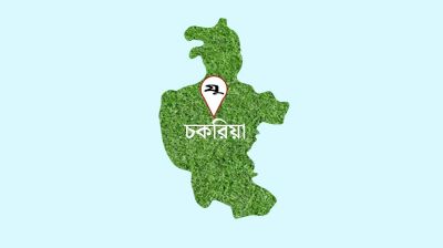 চকরিয়ায় সড়কে গাছ ফেলে ডাকাতি, আটক ৫