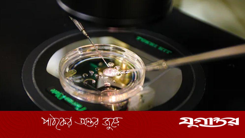 মানব ত্বকের ডিএনএ থেকে ভ্রূণ তৈরি করলেন বিজ্ঞানীরা