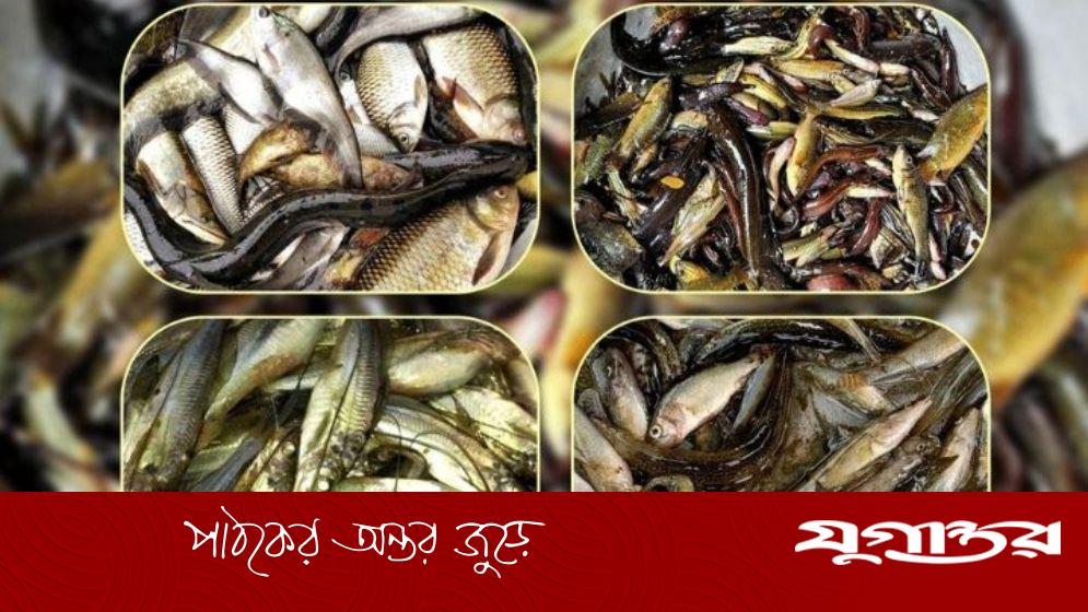 হুমকির মুখে ৬৪ প্রজাতির মাছ