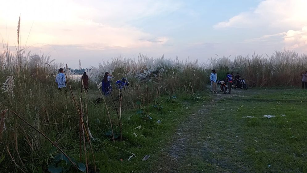 যমুনার চরে কাশফুল টানছে পর্যটকদের