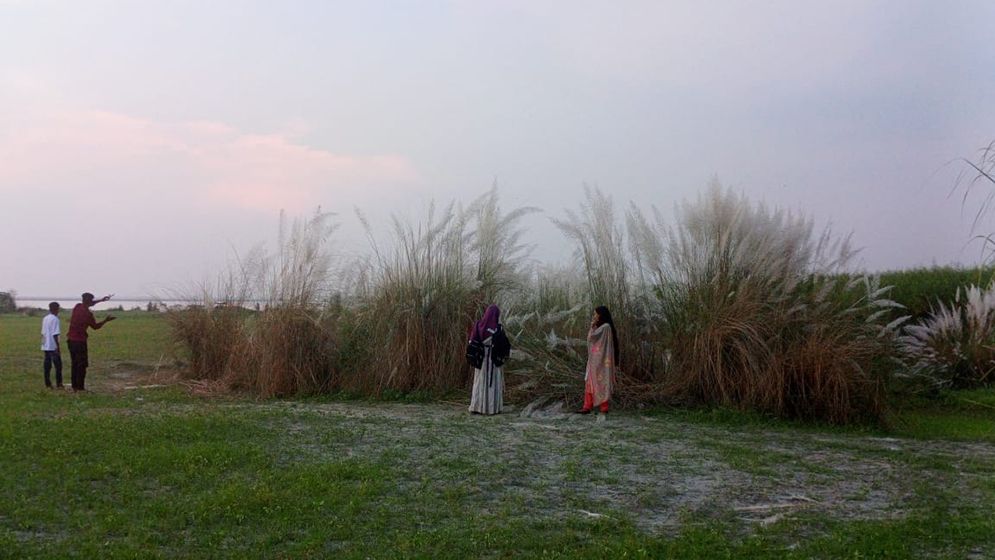 যমুনার চরে কাশফুল টানছে পর্যটকদের