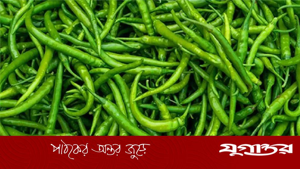 বরিশালে কাঁচামরিচ ৪০০ টাকা কেজি