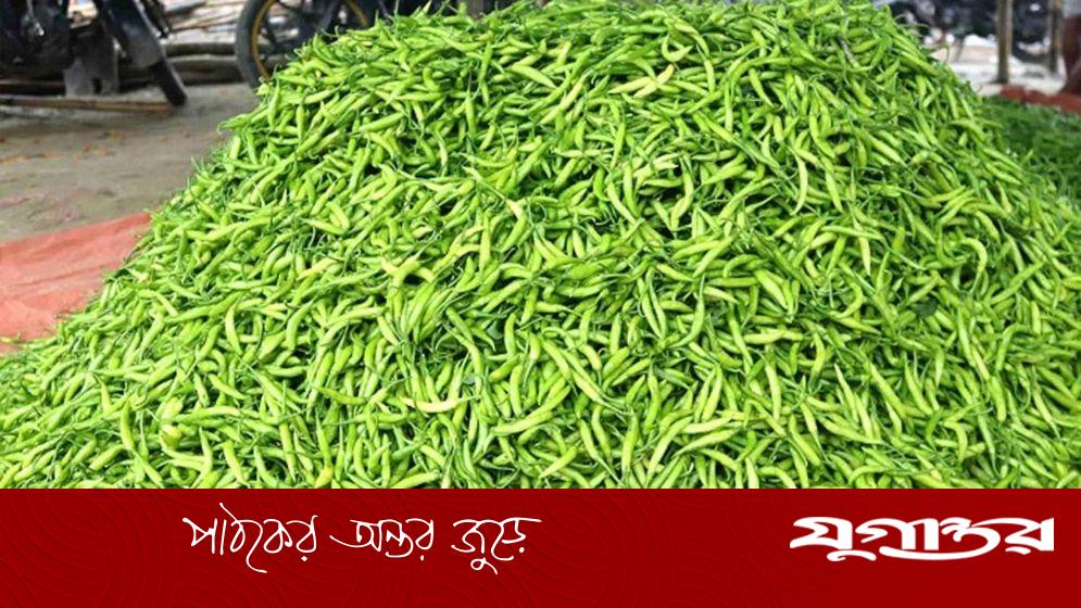 কাঁচামরিচ কেজিপ্রতি ৩২০ টাকা