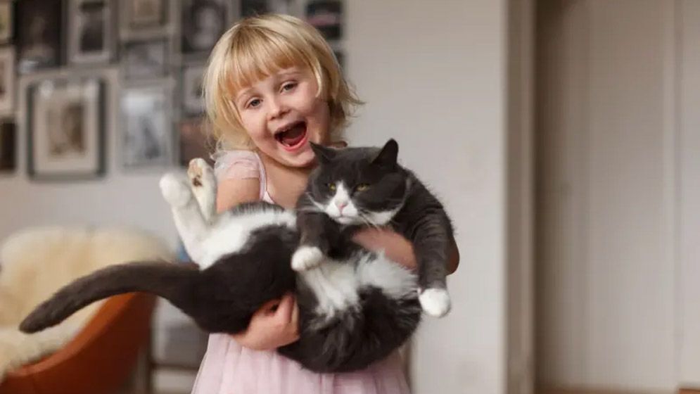 পোষা প্রাণী ঘরে থাকলে কি মানুষের রোগ প্রতিরোধ ক্ষমতা বাড়ে?