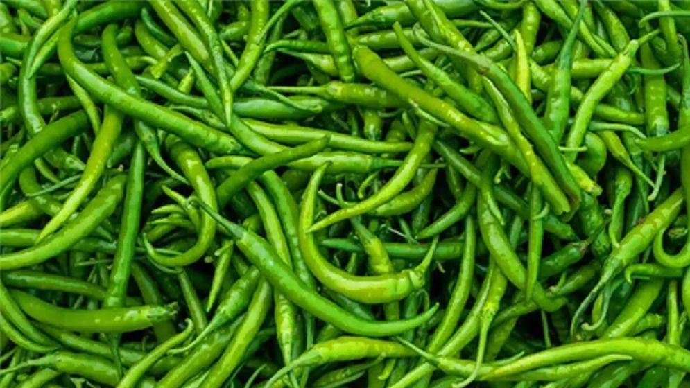 কাঁচামরিচের কেজি ৪০০ টাকা