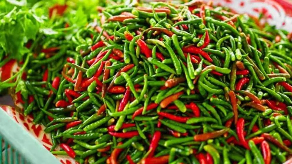 দাম কমল কাঁচা মরিচের