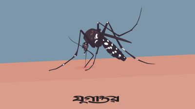 ডেঙ্গু, চিকুনগুনিয়া নাকি সাধারণ ভাইরাল ফিভার