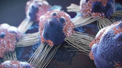 ক্যানসার চিকিৎসায় নতুন আশার আলো