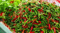 দাম কমল কাঁচা মরিচের