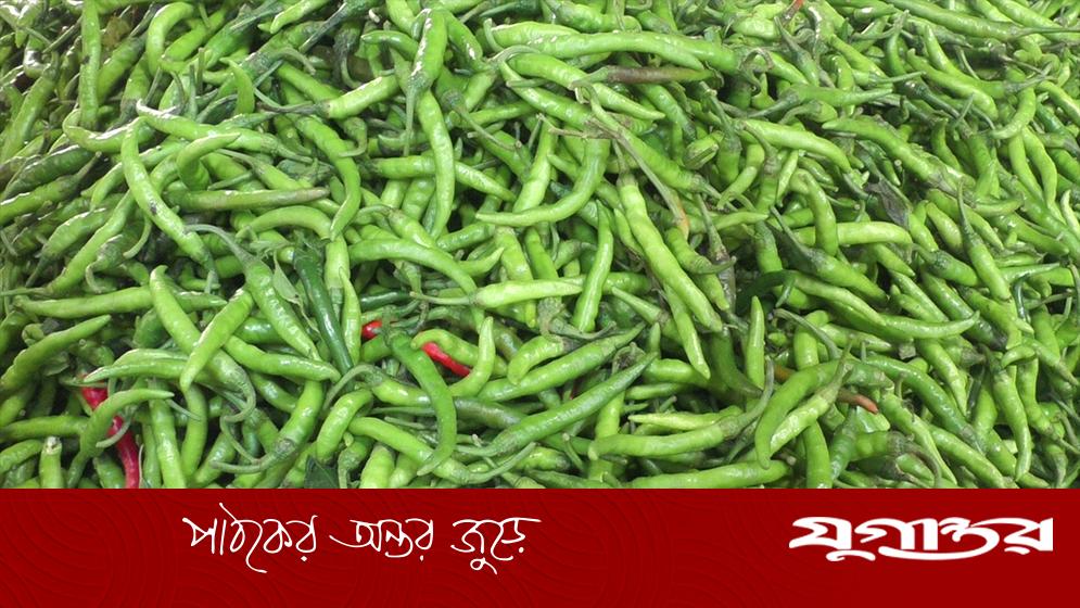 কেজিতে ১২০ টাকা কমল কাঁচামরিচ
