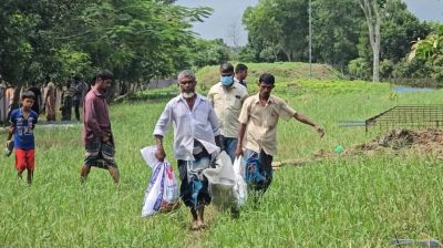 মুরাদনগরে দাফনের ১৯ দিন পর স্কুলছাত্রীর লাশ উত্তোলন