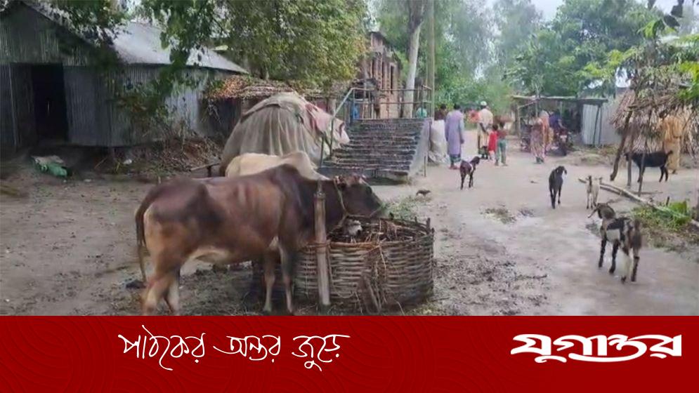 অ্যানথ্রাক্স উপসর্গ নিয়ে নারীর মৃত্যু