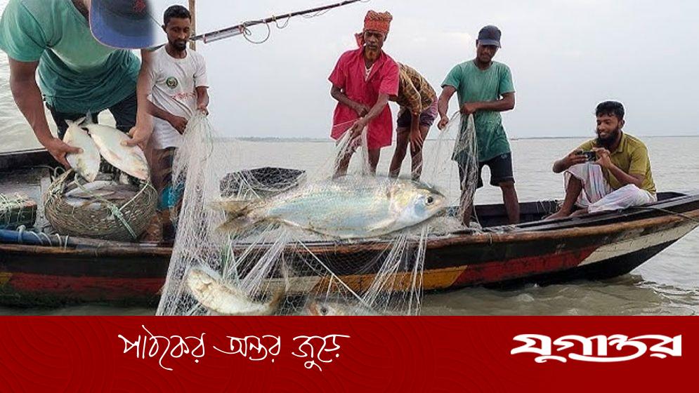 প্রজনন মৌসুম নিয়ে ধোঁয়াশা ঝুঁকিতে মা ইলিশ