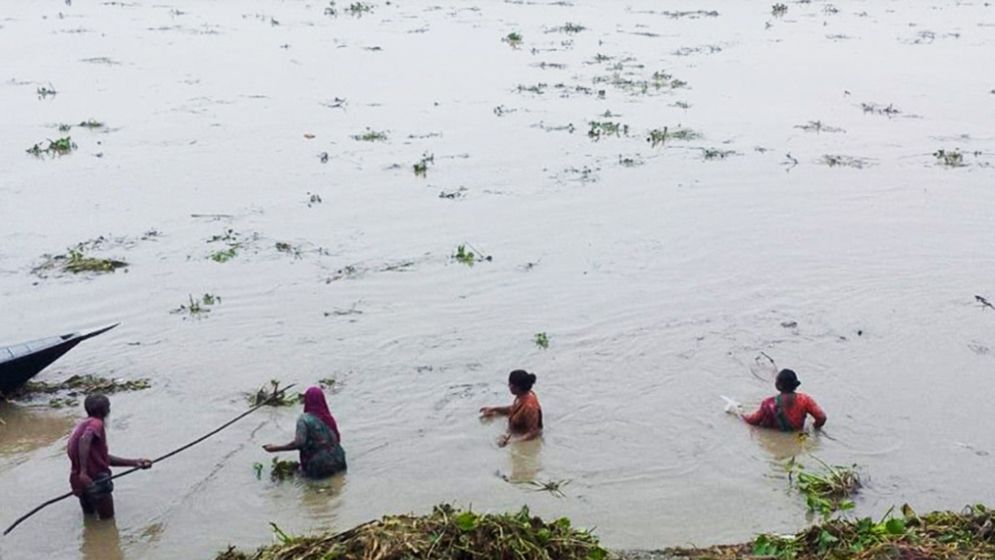 বগুড়ার যমুনা ও বাঙালি নদীতে পানি বৃদ্ধি, ভাঙন আতঙ্ক
