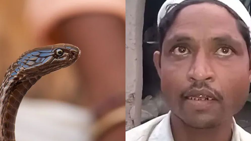 রাতে সাপ হয়ে দংশনের চেষ্টা করেন স্ত্রী, জেলা ম্যাজিস্ট্রেটের কাছে স্বামীর অভিযোগ