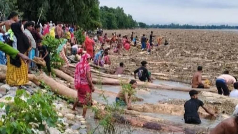 ‘ভারত থেকে’ ভেসে আসছে হাজার হাজার গাছের গুঁড়ি