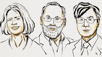 চিকিৎসায় নোবেল যুক্তরাষ্ট্র ও জাপানের তিন বিজ্ঞানীর