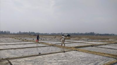 লবণ মাঠ দখল নিয়ে দুই গ্রুপের সংঘর্ষে আহত ৪