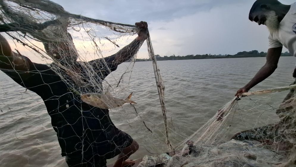 গোসাইরহাটে ৭ জেলের কারাদণ্ড, জাল জব্দ