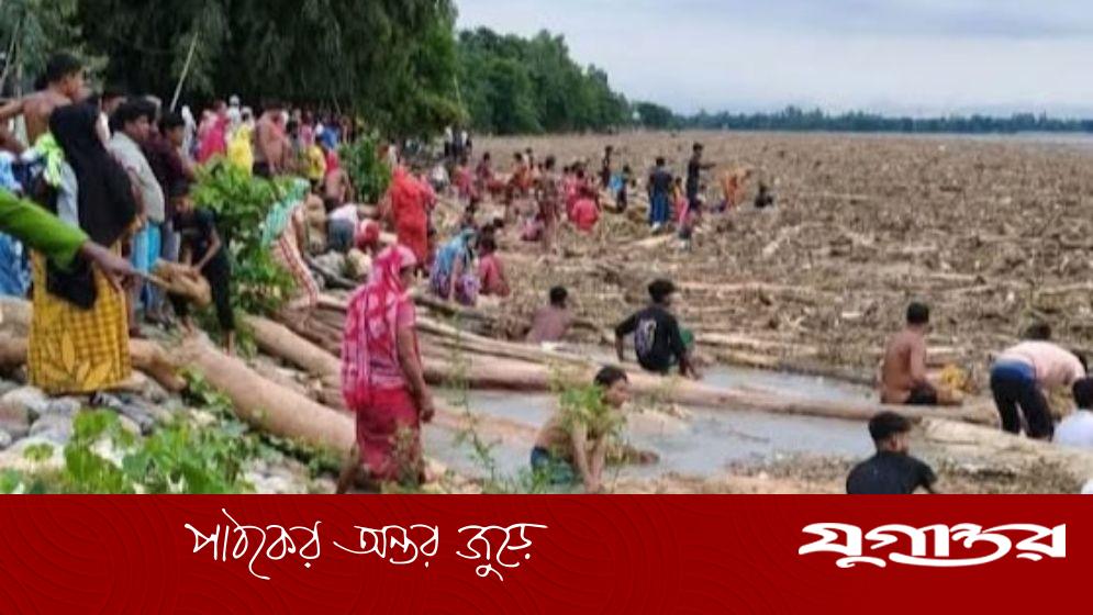 ‘ভারত থেকে’ ভেসে আসছে হাজার হাজার গাছের গুঁড়ি