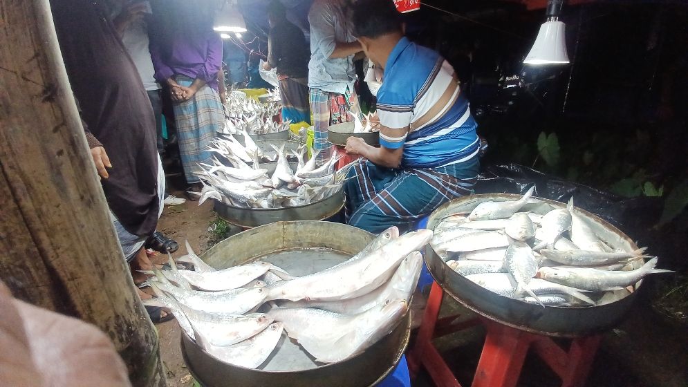 নিষেধাজ্ঞা অমান্য করে মেঘনায় ইলিশ ধরার মহোৎসব