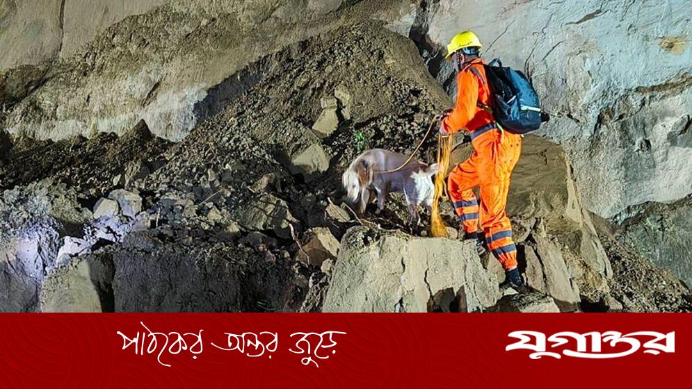 ভারতে পাহাড়ের ওপর থেকে পড়া পাথর চাপায় বাসের ১৮ যাত্রী নিহত