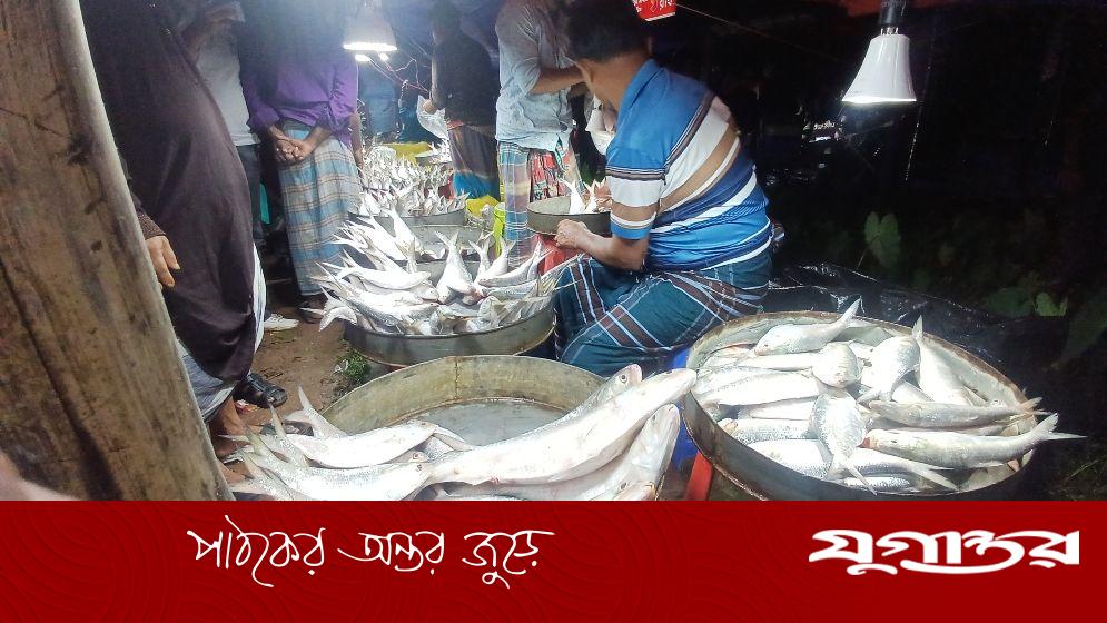 নিষেধাজ্ঞা অমান্য করে মেঘনায় ইলিশ ধরার মহোৎসব