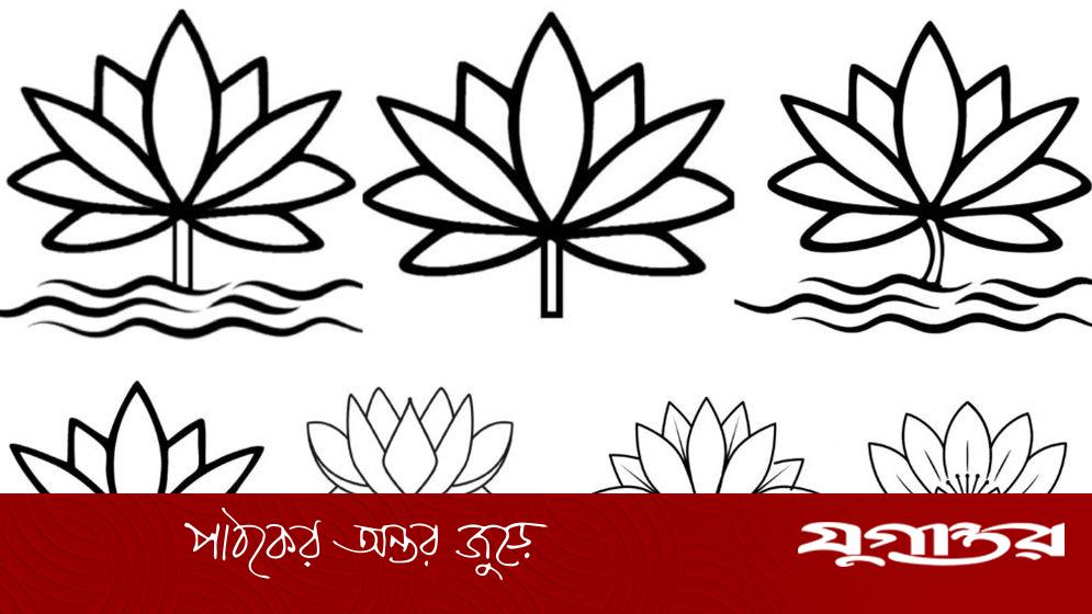 ইসিকে দেওয়া শাপলার ৭ নমুনা প্রকাশ করল এনসিপি
