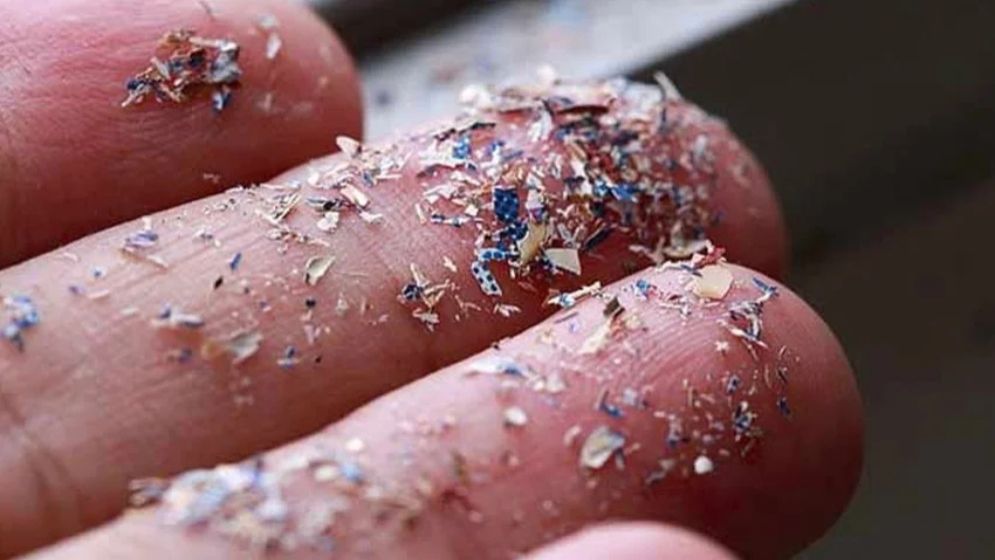 ক্ষুদ্র প্লাস্টিক কণায় বাড়ছে ঝুঁকি, কী বলছে গবেষণা