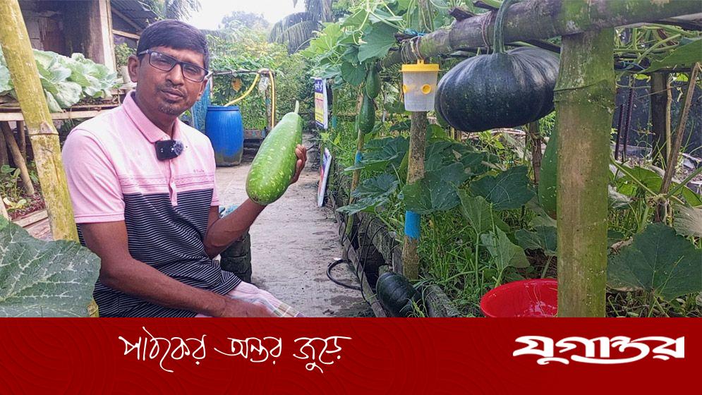 বাড়ির ছাদ যেন সবজি খেত