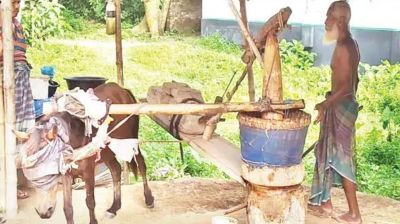 ঘানি টানছে ঘোড়া, তেল যাচ্ছে বিভিন্ন দেশে