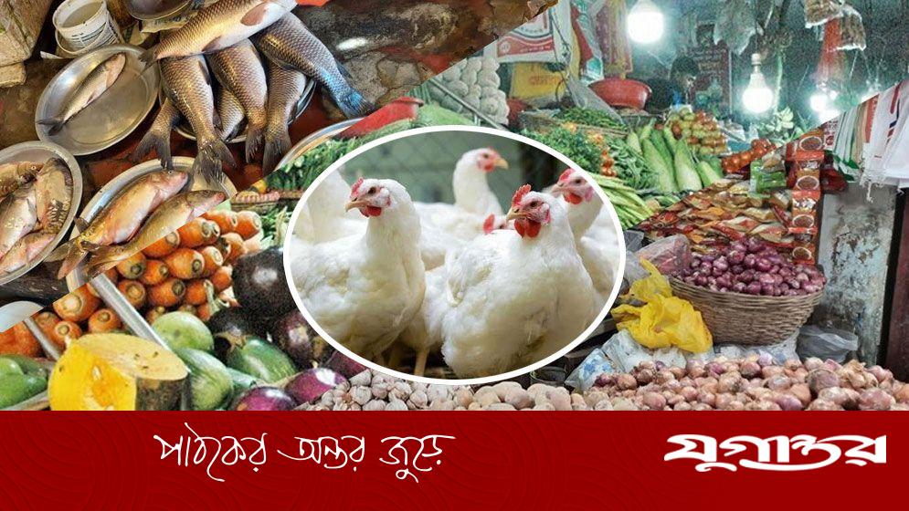 বৃষ্টির অজুহাতে বাজার অস্থির, বয়লার মুরগির কেজি ২০০ টাকা