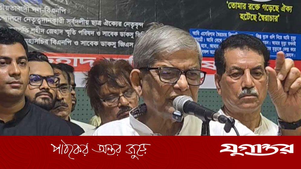 মার্কা দেওয়ার এখতিয়ার ইসির, ধানের শীষ নিয়ে টানাটানি কেন?
