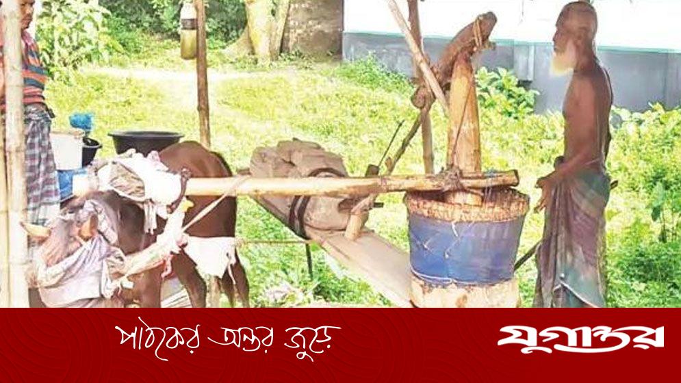 ঘানি টানছে ঘোড়া, তেল যাচ্ছে বিভিন্ন দেশে