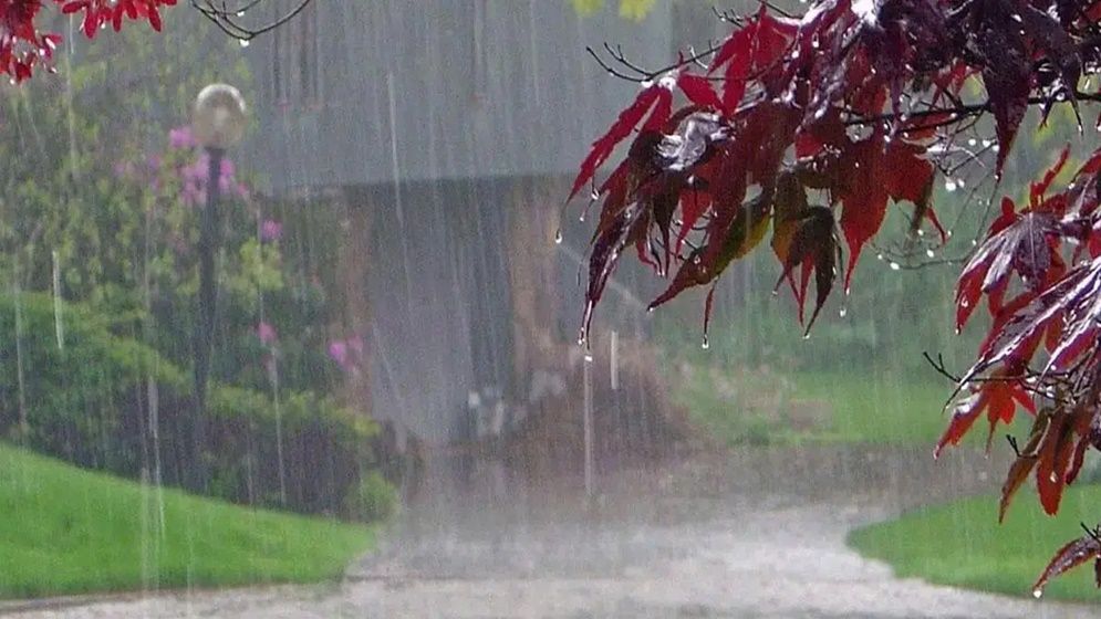 বৃষ্টি আর কত দিন থাকবে, জানাল আবহাওয়া অফিস
