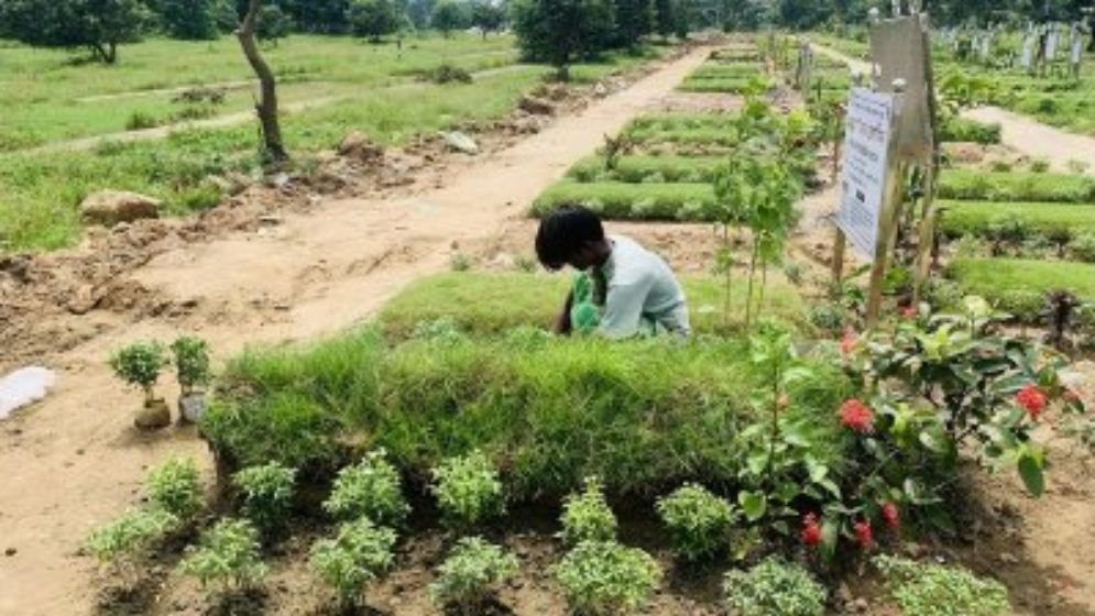 কবরের চারপাশে কি ফুলগাছ লাগানো যাবে?