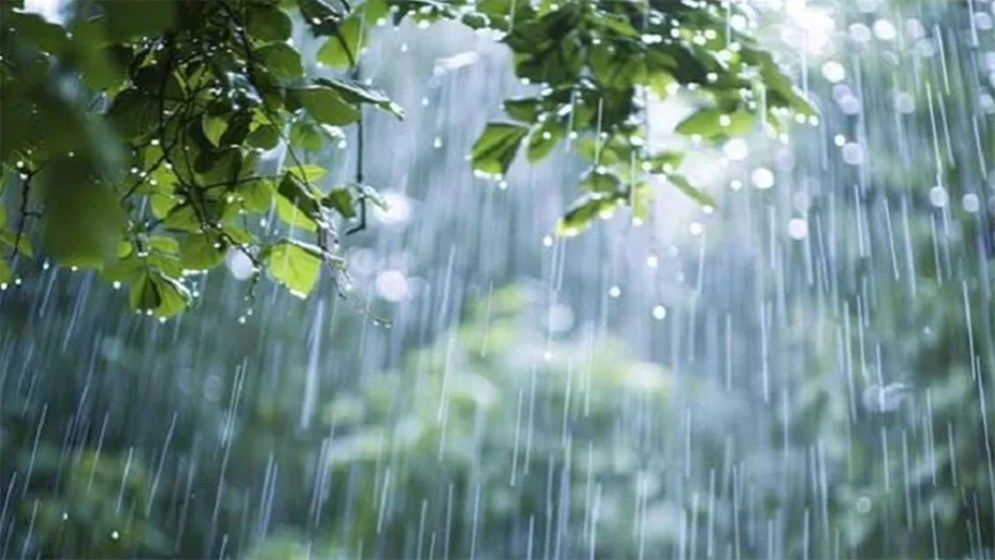 বৃষ্টি নিয়ে যে বার্তা দিল আবহাওয়া অধিদপ্তর