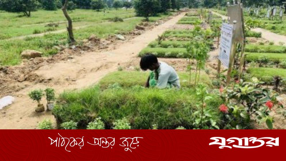কবরের চারপাশে কি ফুলগাছ লাগানো যাবে?