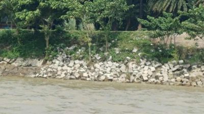 লালপুরে তীর রক্ষা বাঁধের ব্লক ধসে ভাঙন, আতঙ্কে পদ্মাপারের মানুষ