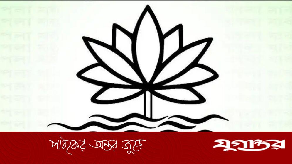 ইসির কাছে ‘শাপলা’ প্রতীক চেয়ে বসেছে আরও এক দল