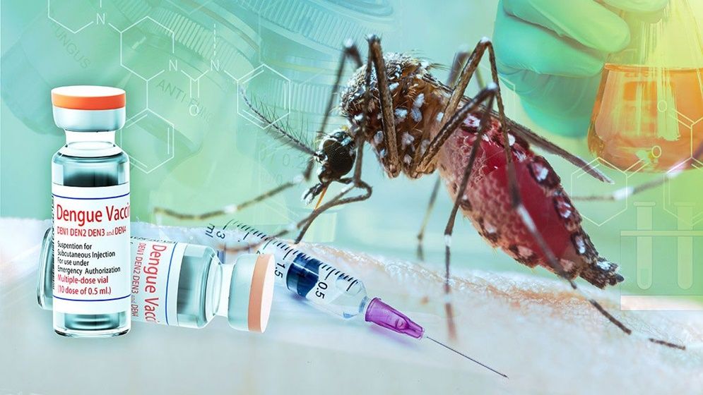 এখন জরুরি ডেঙ্গুর উপযুক্ত টিকা