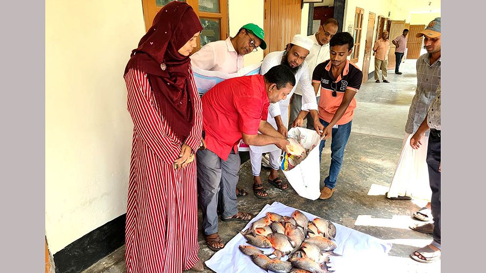 রাক্ষসী পিরানহা মাছ জব্দ, দেওয়া হলো এতিমখানায়