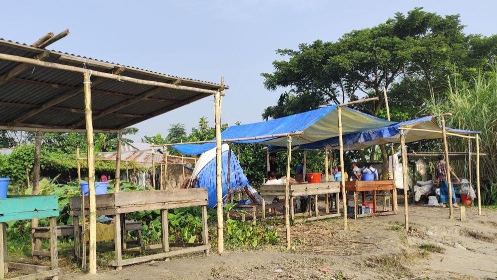 মা ইলিশ রক্ষা অভিযানে তোড়জোড়, অথচ পদ্মা পাড়েই বসছে ইলিশের হাট