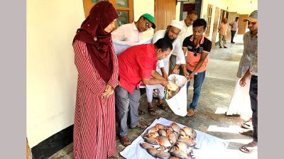 রাক্ষসী পিরানহা মাছ জব্দ, দেওয়া হলো এতিমখানায়