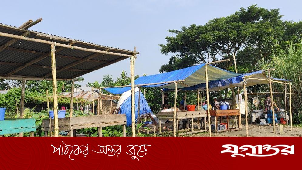 মা ইলিশ রক্ষা অভিযানে তোড়জোড়, অথচ পদ্মা পাড়েই বসছে ইলিশের হাট