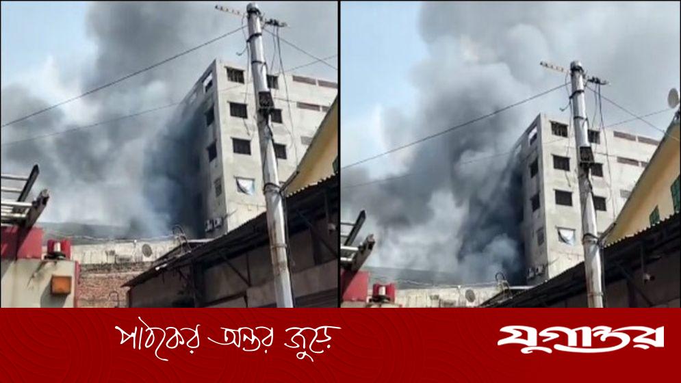 মিরপুরে গার্মেন্টস ও কেমিক্যাল গোডাউনে আগুন