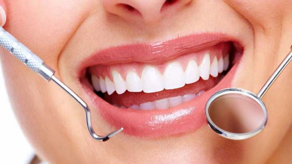 মৌসুমি যে ফল হাড় ও দাঁতের সুরক্ষা দেয়