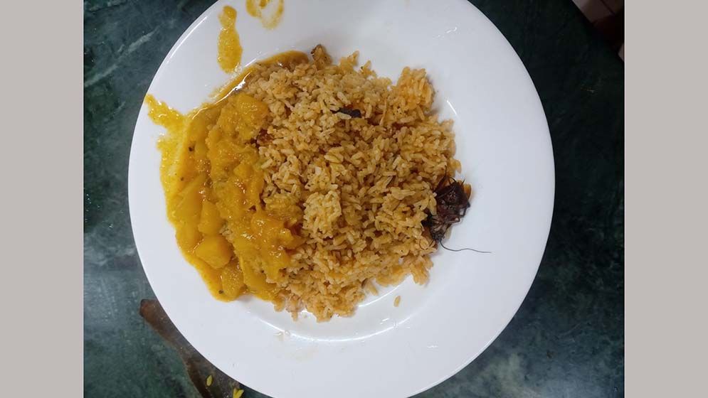 কুবি ক্যাফেটেরিয়ায় খাবারে তেলাপোকা, শিক্ষার্থীদের ক্ষোভ